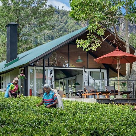Madulkelle Tea And Eco Lodge Kandy Luaran gambar