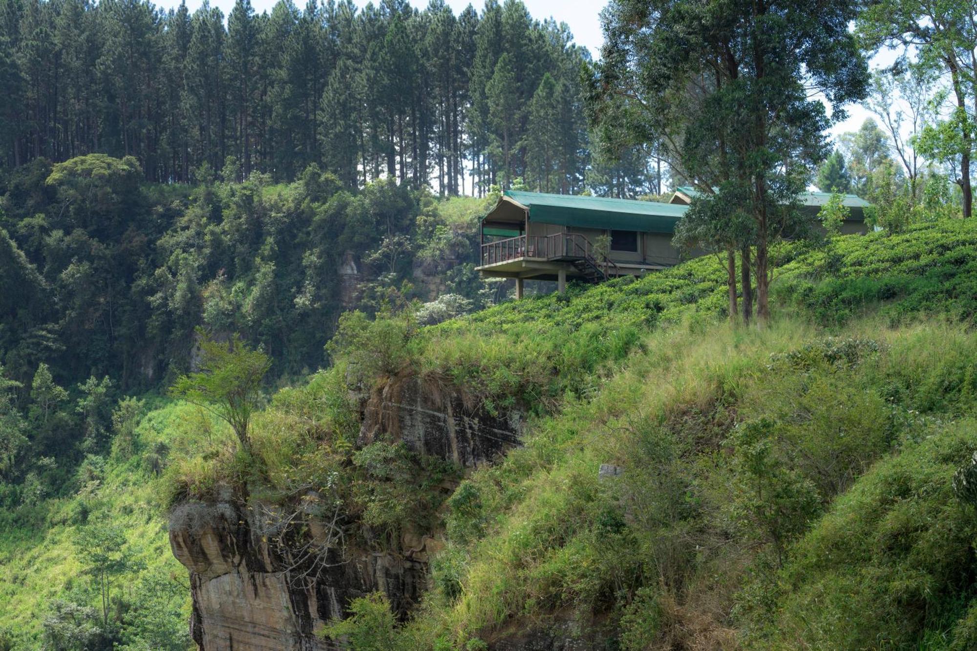 Madulkelle Tea And Eco Lodge Kandy Luaran gambar