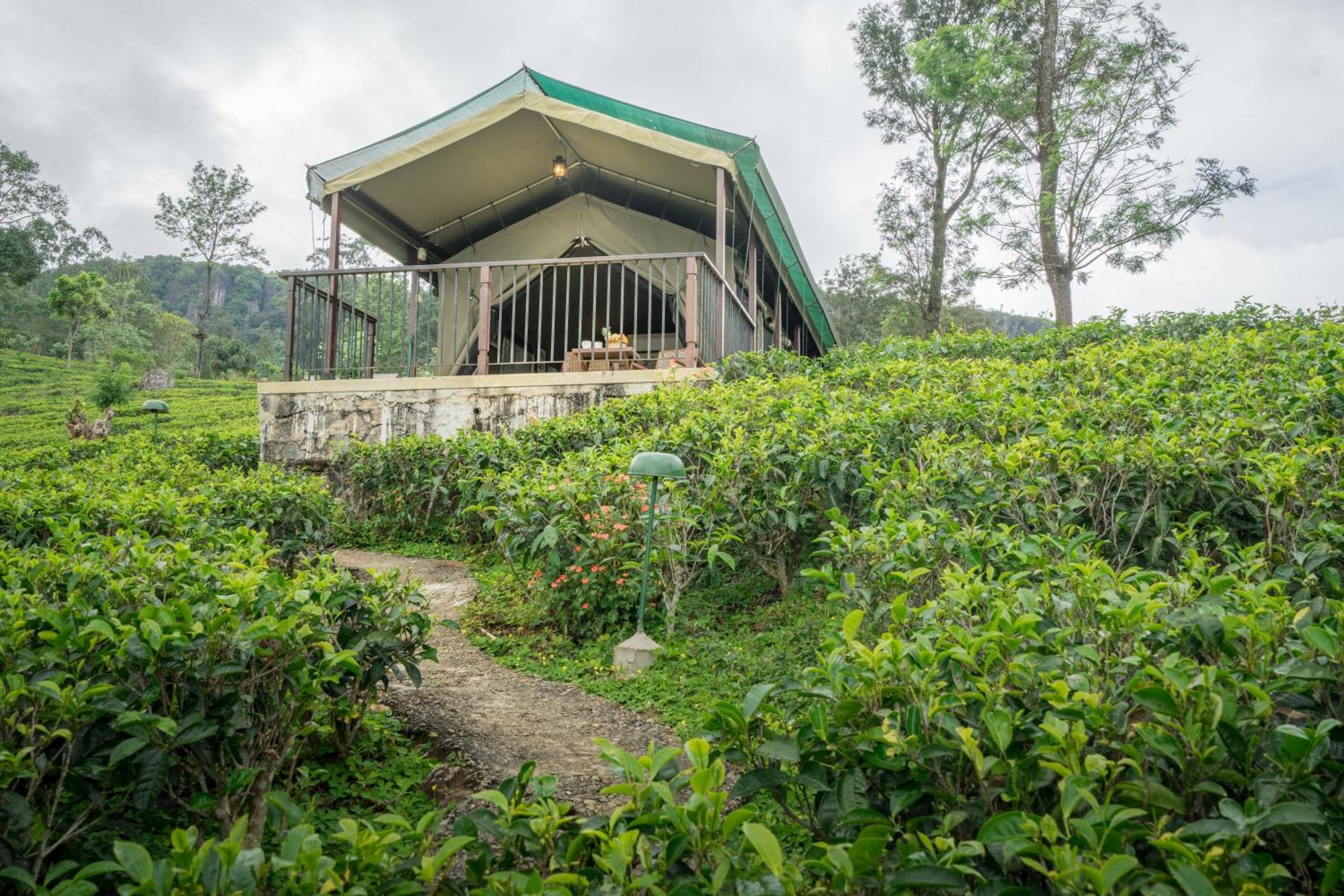 Madulkelle Tea And Eco Lodge Kandy Luaran gambar