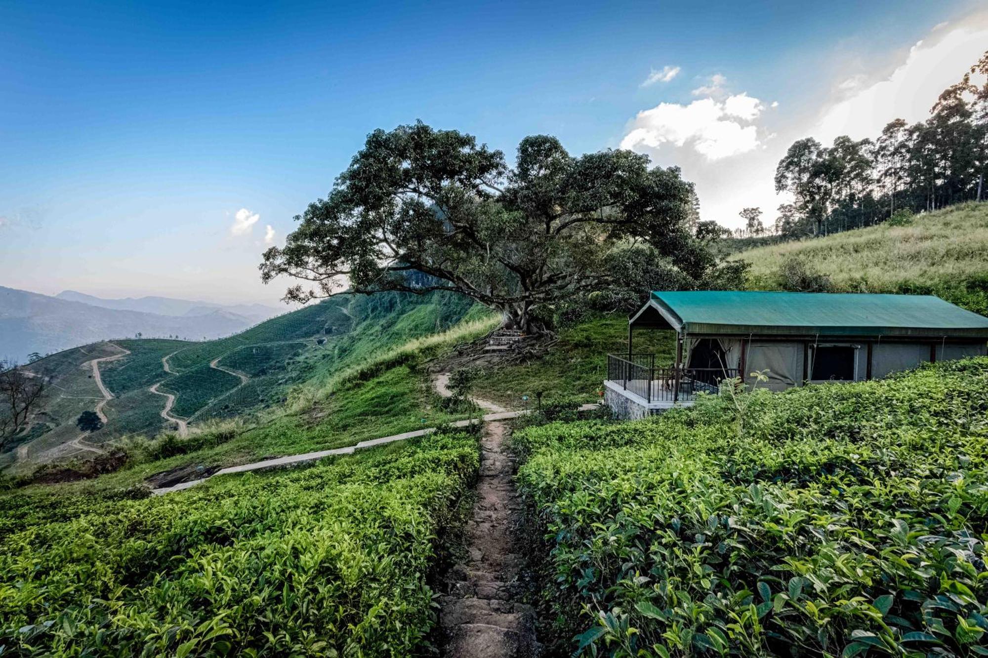 Madulkelle Tea And Eco Lodge Kandy Luaran gambar