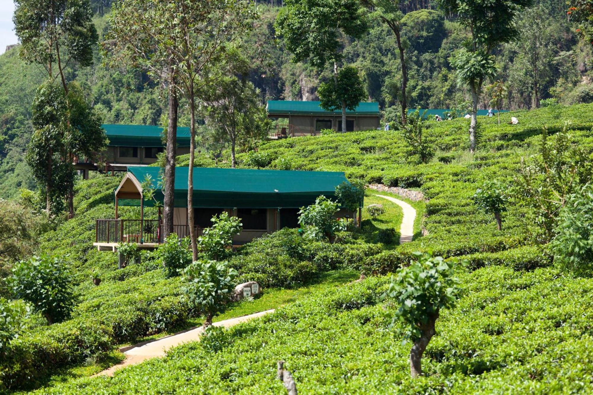 Madulkelle Tea And Eco Lodge Kandy Luaran gambar