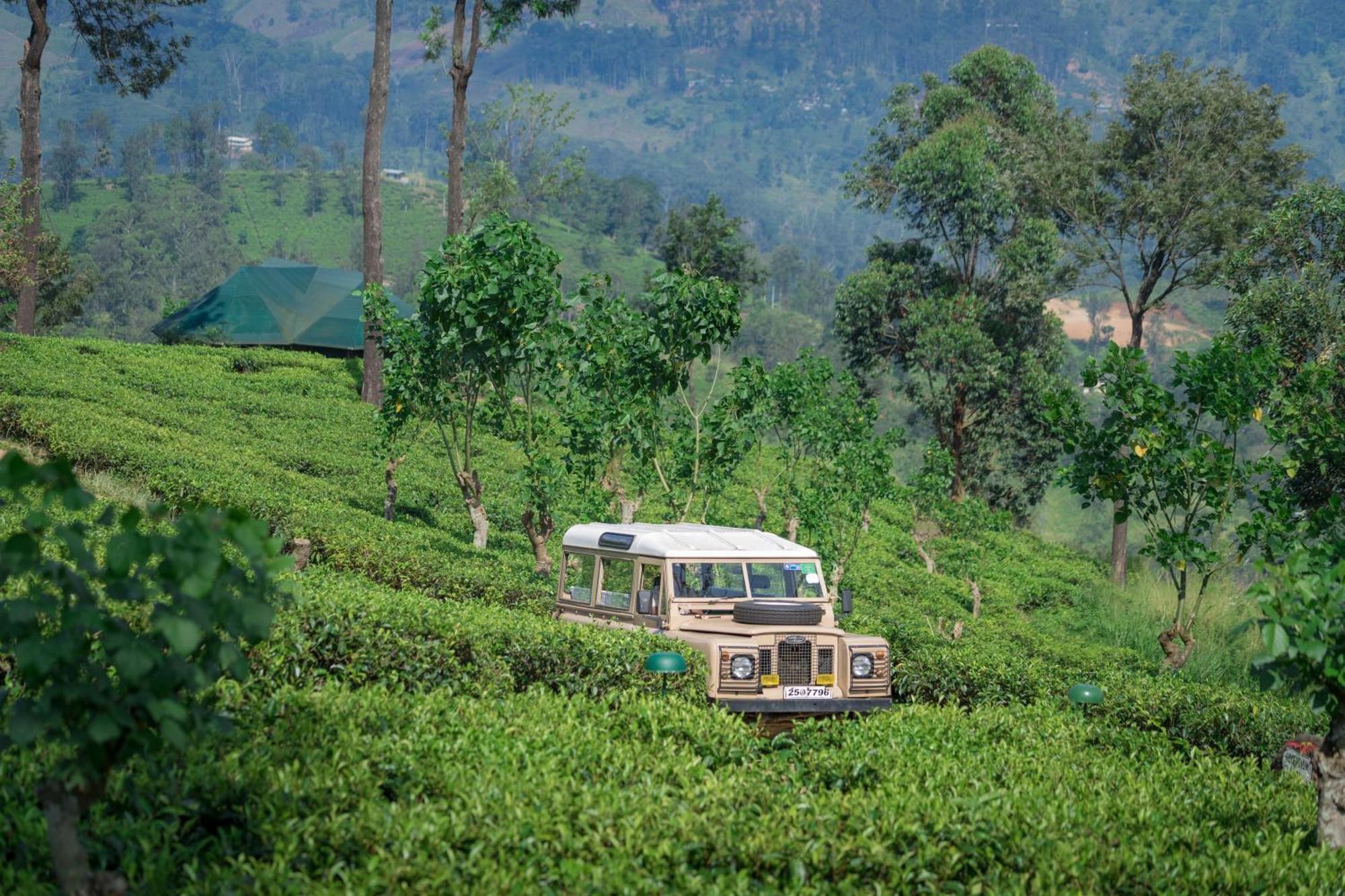 Madulkelle Tea And Eco Lodge Kandy Luaran gambar