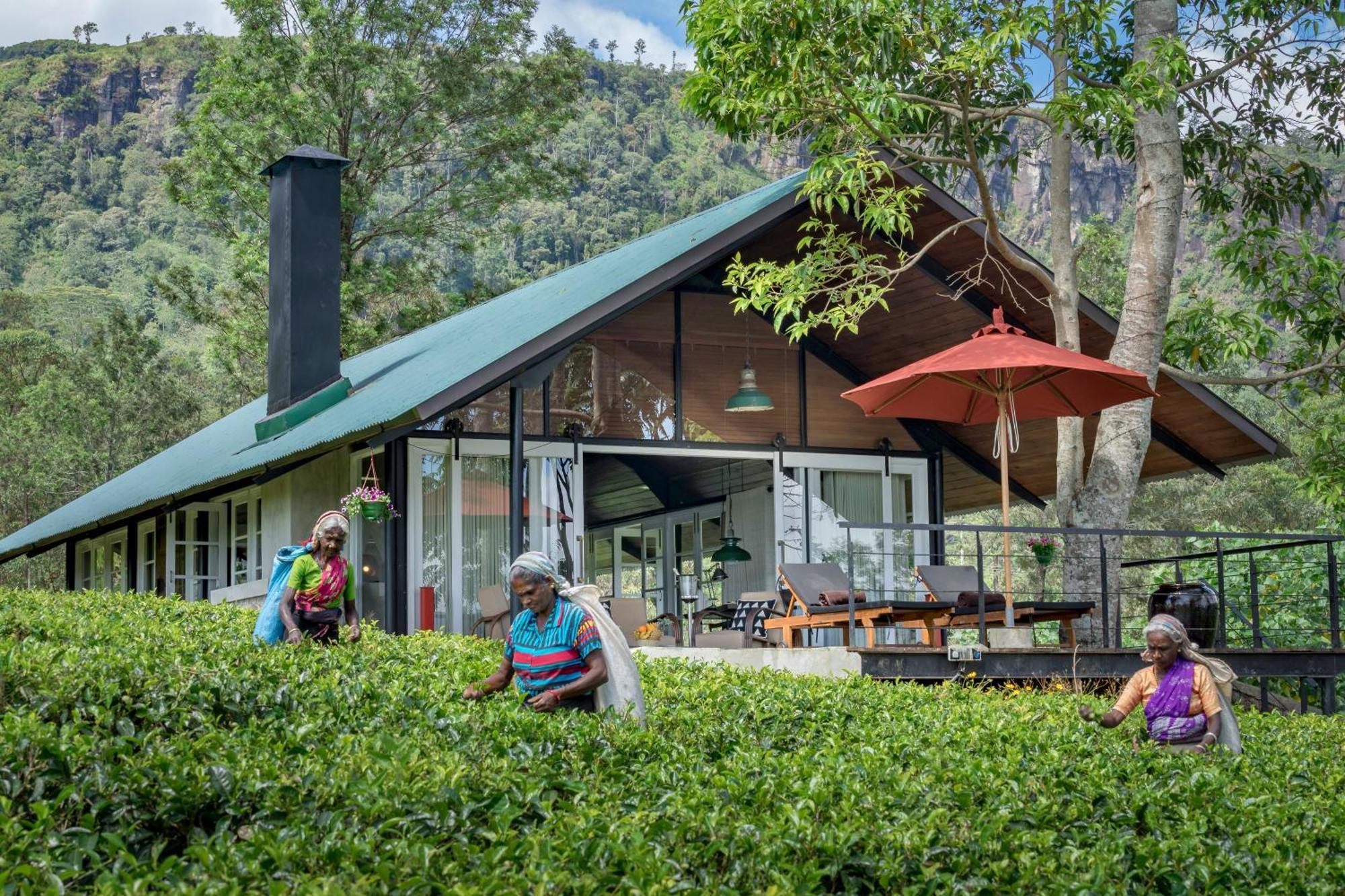Madulkelle Tea And Eco Lodge Kandy Luaran gambar